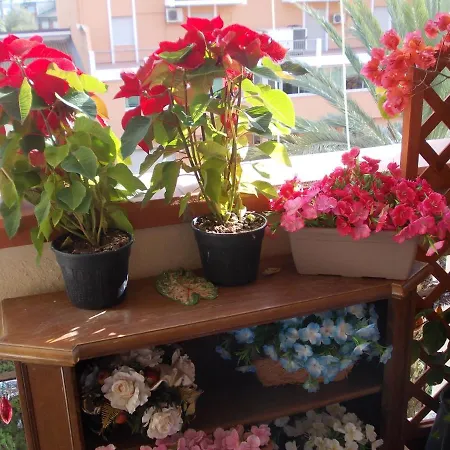 Domus Aurea فندق مبيت وإفطار