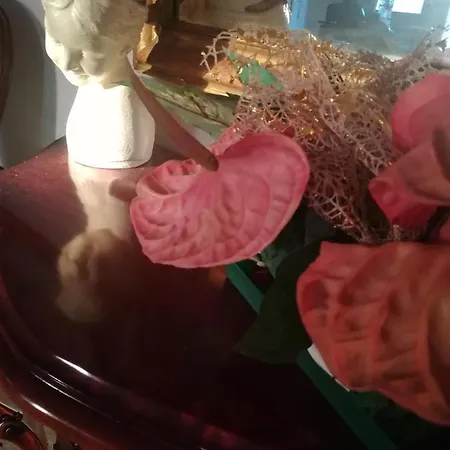 Domus Aurea فندق مبيت وإفطار أوريستانو