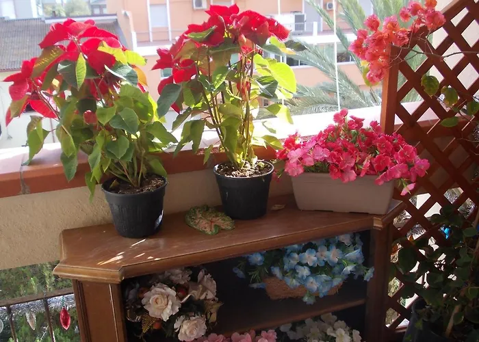 Domus Aurea Oda ve Kahvaltı