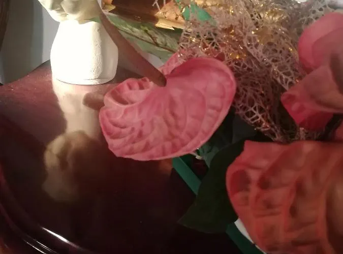 Domus Aurea Oda ve Kahvaltı Oristano